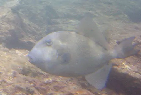 DSCF0008_JPG.jpg