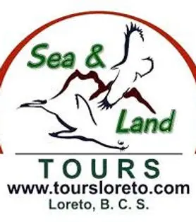 golf cart, bike, bicycle, kayak, rentals, rent, loreto, loreto rentals