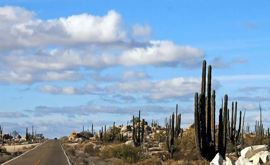 Highway 5 to Loreto, Mexico