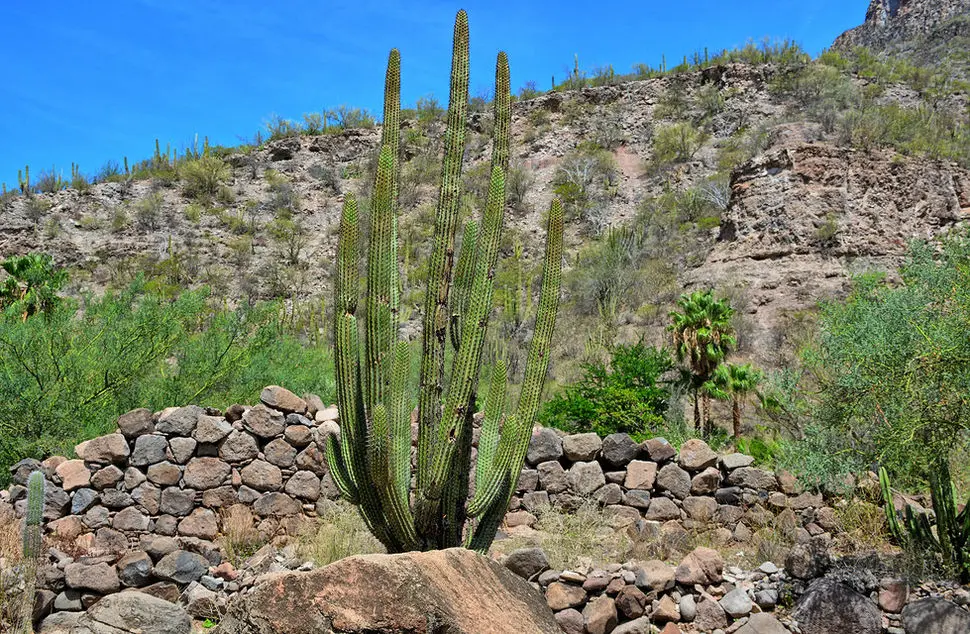 kirt san javier 3.jpg