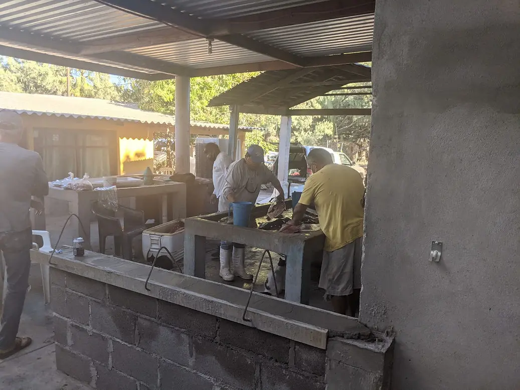 Fish fillet and cleaning, Loreto, Mexic
