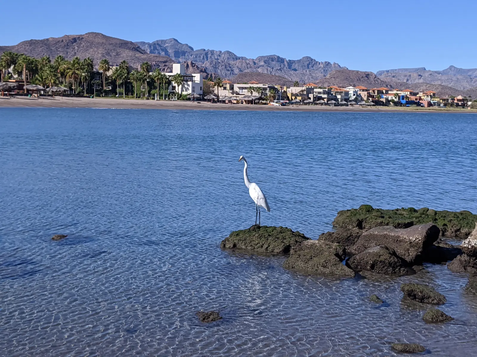 MVIMG_20201212_104109.jpg