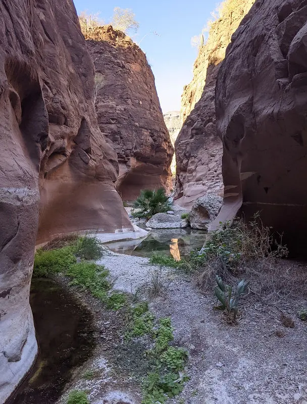 Mesquite Canyon, Loreto, Hiking