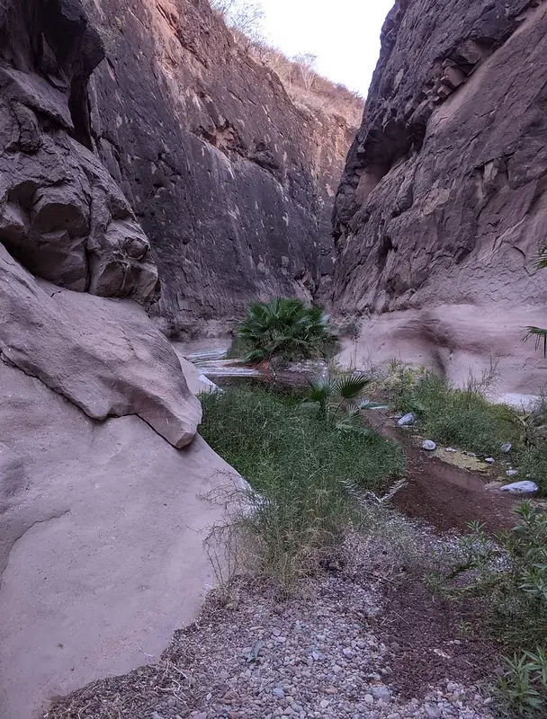 Mesquite Canyon, Loreto, Hiking