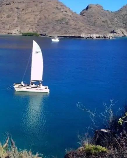 Catamaran tours, Loreto, Catamaran, tours