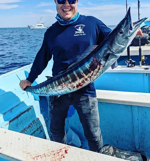 Loreto Sportfishing captains, pangas