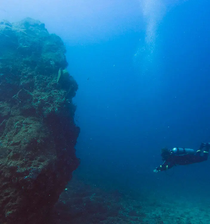 Loreto, scuba, diving, tours, companies, costs, Scuba Loreto