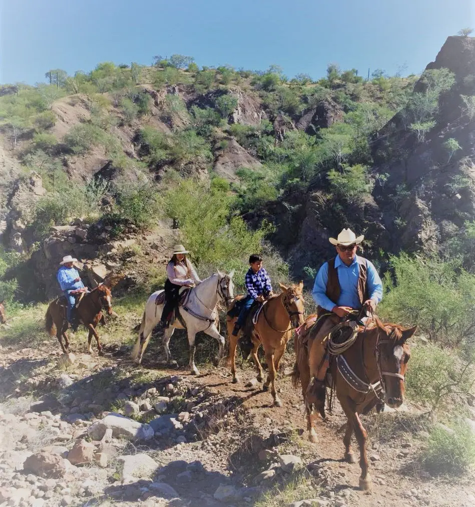 horseback riding in loreto, loreto horseback riding tours, loreto