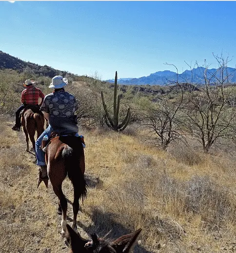 horseback riding in loreto, loreto horseback riding tours, loreto