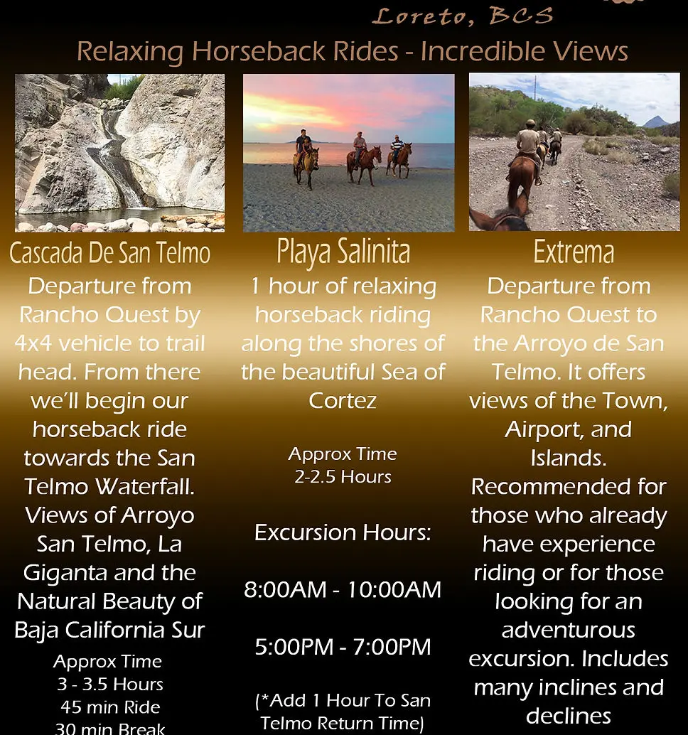 horseback riding in loreto, loreto horseback riding tours, loreto