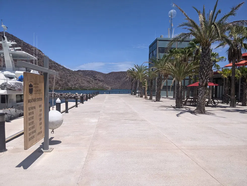 PXL_20210707_202531776.jpg