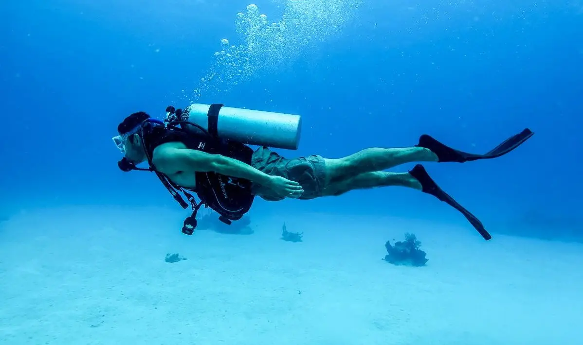 Loreto, scuba, diving, tours, companies, costs