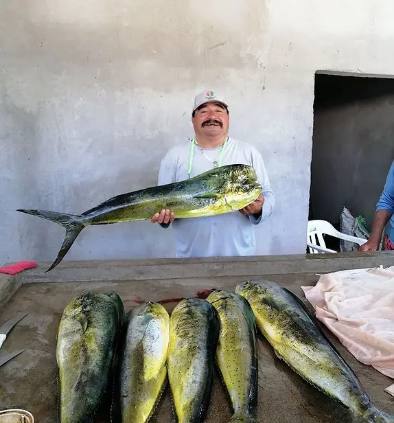 Loreto Fishing Charters, fishing loreto