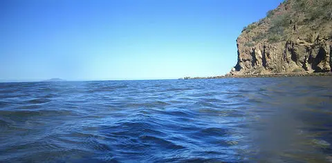 DSCF0101_JPG.jpg