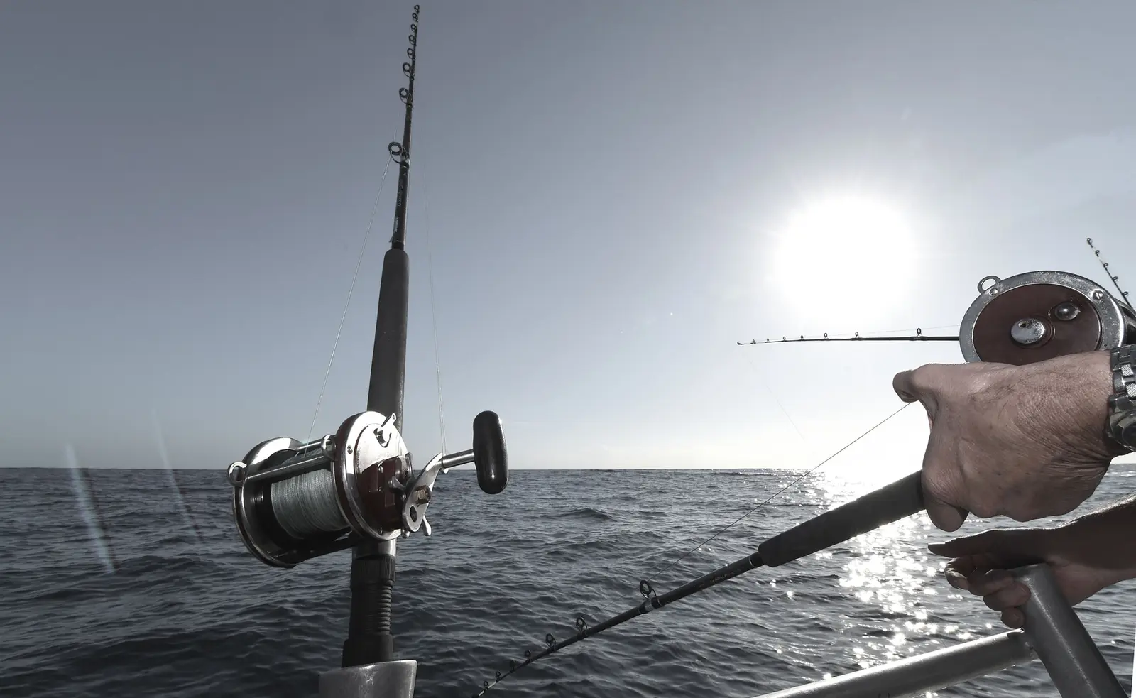 fishing charters loreto panga captains, loreto