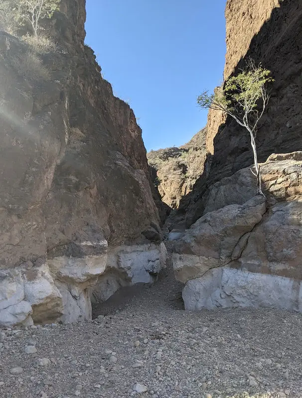 Mesquite Canyon, Loreto, Hiking