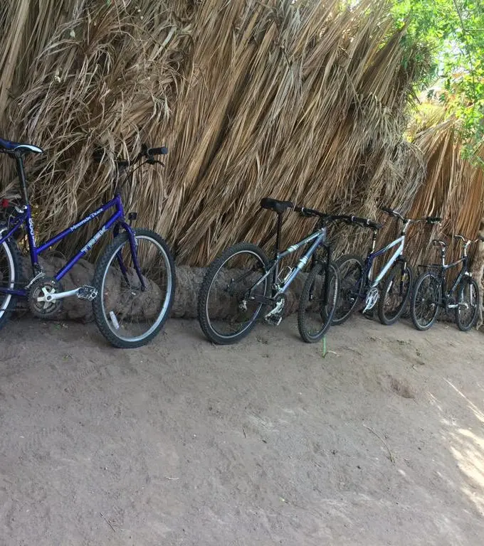 golf cart, bike, bicycle, kayak, rentals, rent, loreto, loreto rentals