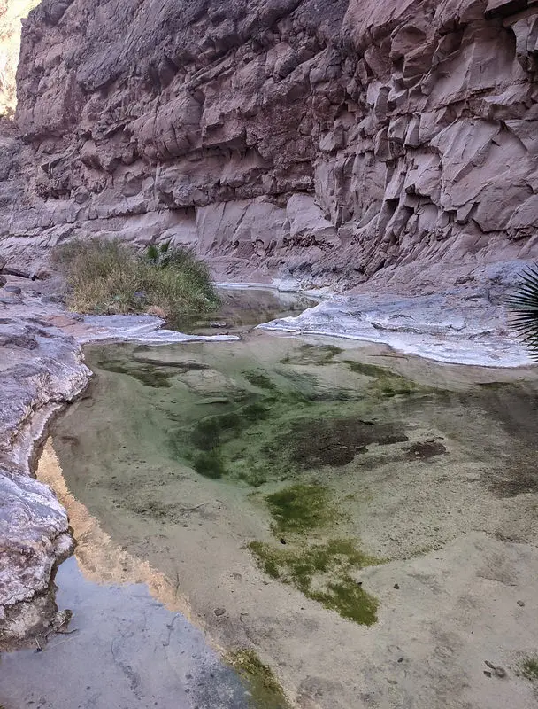 Mesquite Canyon, Loreto, Hiking