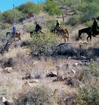 horseback riding in loreto, loreto horseback riding tours, loreto